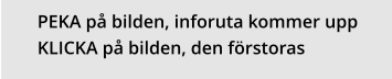 PEKA på bilden, inforuta kommer uppKLICKA på bilden, den förstoras