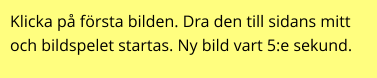 Klicka på första bilden. Dra den till sidans mitt och bildspelet startas. Ny bild vart 5:e sekund.