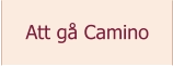 Att gå Camino