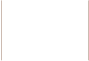 Leder