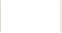 Vinguide